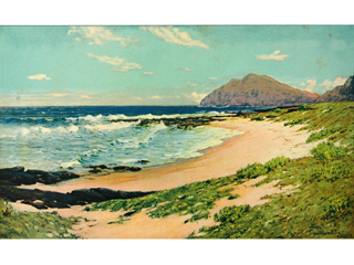 Untitled by D. Howard Hitchcock (1861-1943)
