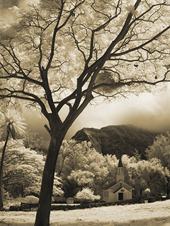Church at Kalaupapa by Joan  Cooke