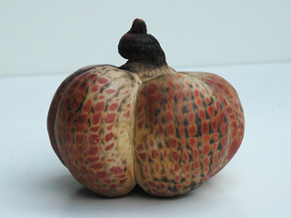 Pumpkin by Rochelle Lum (View 2)