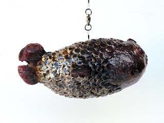 Fishish XV by Steve Martin