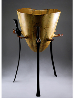 The Raincatcher by Patrick Kramer