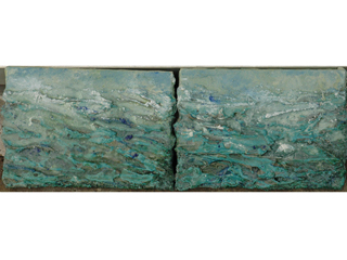 Water Study I & II by Jodi Endicott