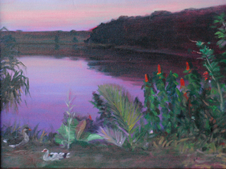 Peeking Ducks by Ka-Ning Fong