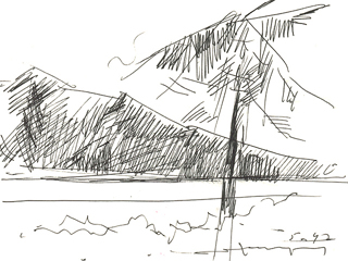 Untitled: Landscape With Palm by John Young (1909-1997)