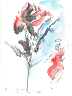 Untitled:  Red Rose by John Young (1909-1997)