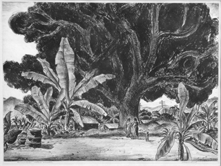 Maunalaha Valley, Honolulu by Alexander S. MacLeod (1888-1975)