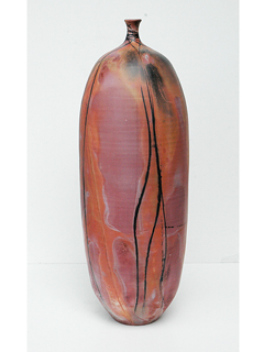 Lava Bottle by Joel T Park