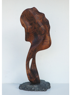Flow by Jerry Vasconcellos