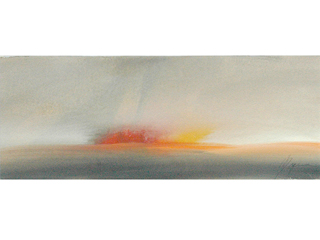 Nainoa's Journey B  by Mapuana Schneider