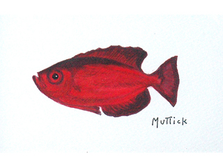 Aweoweo by Lawrence Muttick