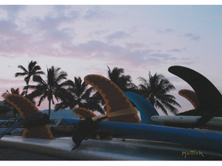 Shark Fins by Lawrence Muttick