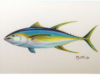 Ahi by Lawrence Muttick