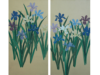 Iris by Niki Fuller
