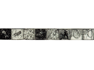 Stripped Bare: Case Study I by Shannon Leitch