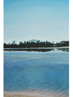 Moanalua II by Stephen  Niles