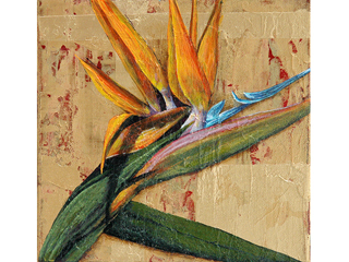 Bird of Paradise by Sandra Blazel