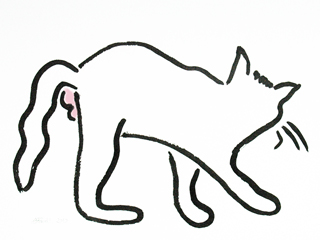 Tom Series 2:3 by Barbara Farrell