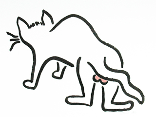 Tom Series 1:3 by Barbara Farrell