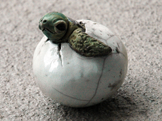 Hatchling Rattle 1 by Rochelle Lum