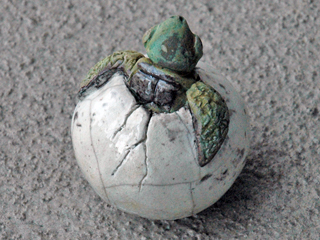 Hatchling Rattle 1 by Rochelle Lum (View 2)