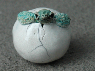 Hatchling Rattle 2 by Rochelle Lum