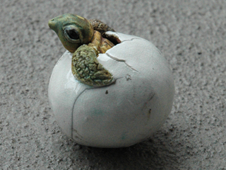 Hatchling Rattle 3 by Rochelle Lum