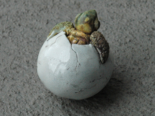 Hatchling Rattle 3 by Rochelle Lum (View 2)