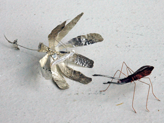 Flower & Insects by Sanit Khewhok