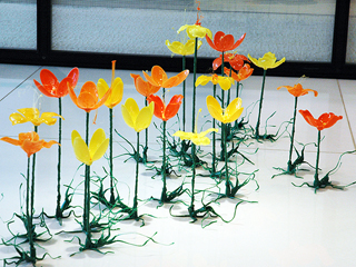 Poppy Culture by Maika'i Tubbs