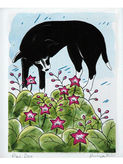 Poi Dogs in Flower Bed by Jinja Kim