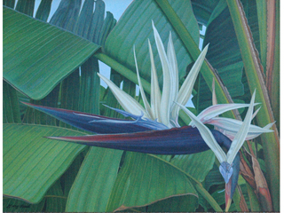 White Bird by Gary Reed (1948-2015)