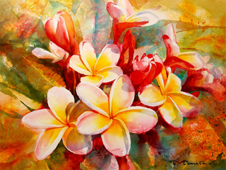 Plumeria by Tom Tomita