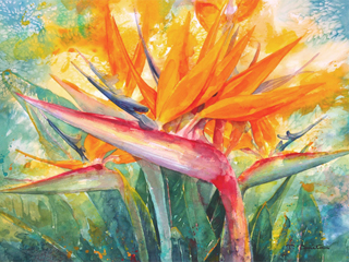 Bird of Paradise by Tom Tomita