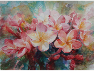 Plumeria by Tom Tomita