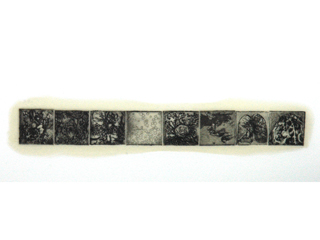 Stripped Bare: Case Studies II by Shannon Leitch