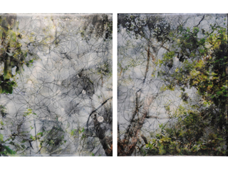 Wao Akua Divination Series I by Sally Lundburg (View 2)