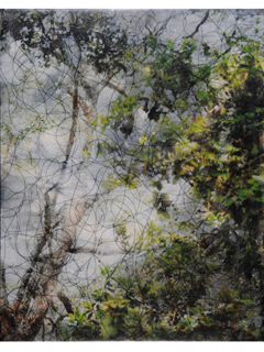 Wao Akua Divination Series I by Sally Lundburg