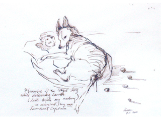 Don't touch my monkey by Dorothy Faison