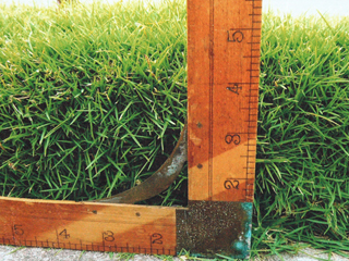 Lawnboat Historical Society Edging Awards 2011: First Place by Dorothy Faison