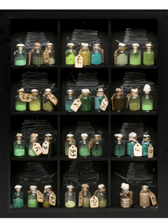 Experimentation to determine colors of perfect lawns and names of said colors by Dorothy Faison