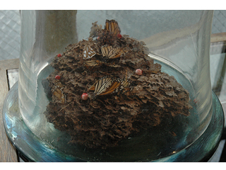 Hic domus, haec patria est (here is our home, this is our country Virgil) by Dorothy Faison (View 2)