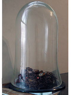 Hic domus, haec patria est (here is our home, this is our country Virgil) by Dorothy Faison