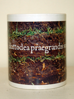 Mugs by Dorothy Faison