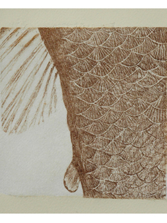 Cabinet of Curiosities 6 by Student Artists