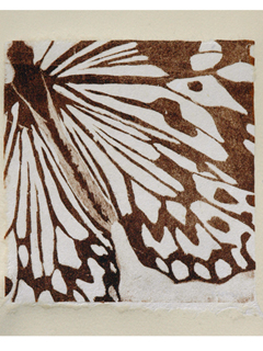 Cabinet of Curiosities 8 by Student Artists
