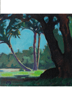 Hanalei, November by Dennis Morton