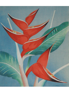 Heliconia by Shirley Russell (1886-1985)