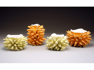 Spiked Citrus  by Jennifer Hill