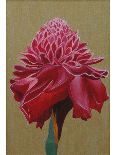 Hawaiian Icon - Ginger 2 by Regina Bode