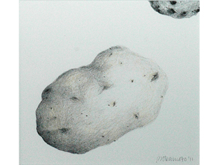 A Potato Dreams  by Barbara Okamoto